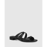 Read Wittner Reviews